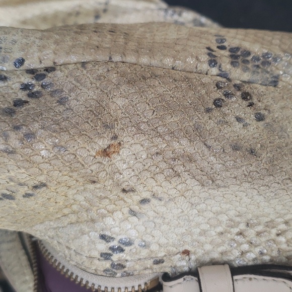 Coach Rare Madison Python Embossed Maggie Shoulder Bag - Picture 14 of 17